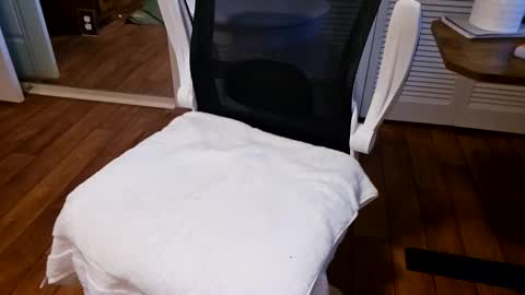 chaytay12 online show from January 27, 2025, 2:35 pm