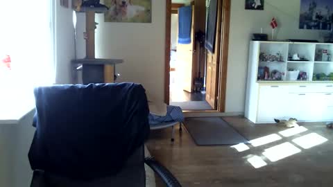 chefben666 online show from October 16, 2025, 10:27 am