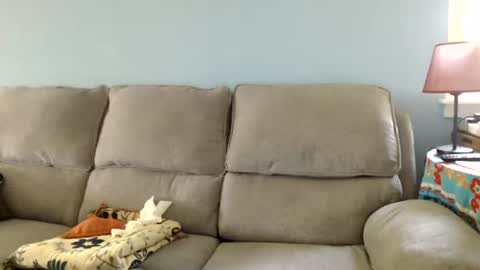 Snapshot of chelseasentra1 chatting on July 16, 2026, 1:50 pm Chelsea online show from July 16, 2026, 1:50 pm