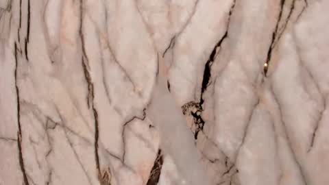 Emma  online show from November 22, 2025, 11:31 am