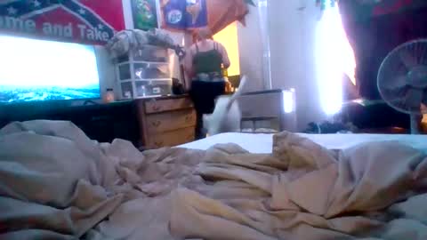 cherrybomb454 online show from February 16, 2026, 5:31 pm