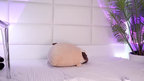 Julia online show from February 1, 2025, 2:26 am