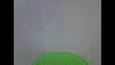 Snapshot of cherryxpussy chatting on October 3, 2025, 12:02 pm cherryxpussy online show from October 3, 2025, 12:02 pm