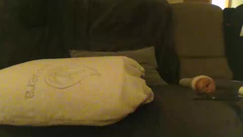 Snapshot of china_murphy chatting on December 14, 2024, 4:09 pm Murphy-China online show from December 14, 2024, 4:09 pm