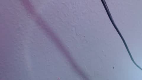 chloe_prg online show from December 20, 2024, 7:07 pm