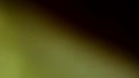 ChloeeThompson online show from September 20, 2025, 2:56 am