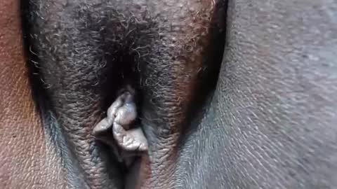 chocolatabig online show from November 9, 2025, 6:28 pm