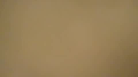 Snapshot of chocoschlong83 chatting on January 21, 2025, 12:04 am chocoschlong83 online show from January 21, 2025, 12:04 am