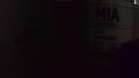 chrisatmiami448 online show from October 14, 2025, 7:03 pm