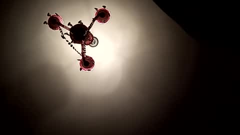 Vicki and Chris online show from November 1, 2025, 6:21 pm