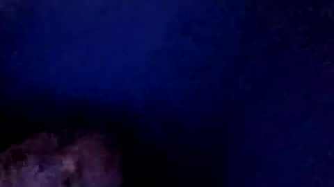 christmasfawks online show from November 26, 2025, 3:57 pm