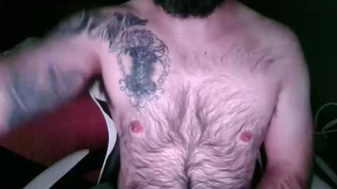 chub bear 99 online show from May 23, 2026, 10:52 am