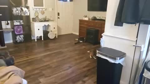 ChubbyHubby420 online show from September 12, 2025, 1:44 pm