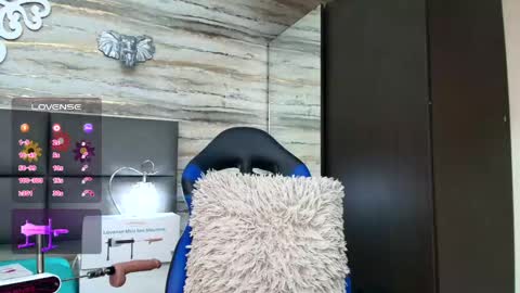 ...   ... online show from January 26, 2025, 10:12 am