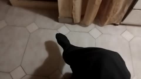 ciccilli online show from October 17, 2025, 9:39 pm