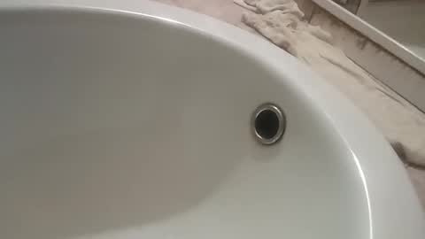 ciccilli online show from November 9, 2025, 10:08 pm