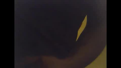 Snapshot of cobra1092 chatting on February 2, 2026, 6:01 am cobra1092 online show from February 2, 2026, 6:01 am