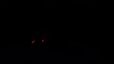 cockdoctor11 online show from October 24, 2025, 4:25 pm