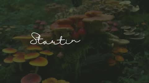 Sunnye Daze online show from March 24, 2026, 3:11 am