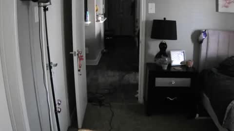 TheGoddessCodie online show from December 12, 2024, 3:05 pm