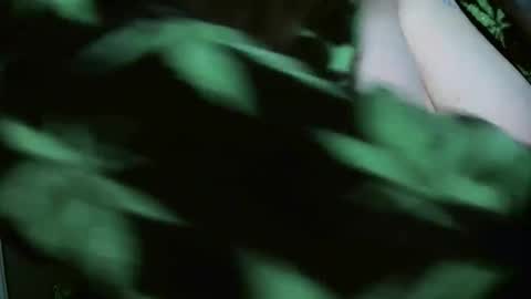 TheGoddessCodie online show from December 29, 2024, 8:26 pm