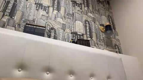 colambus83 online show from April 23, 2026, 8:22 pm