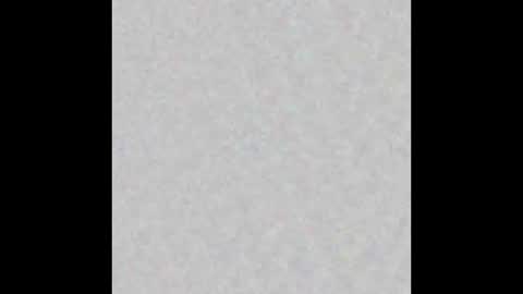 cloudy college boi exhib online show from March 10, 2025, 10:26 am