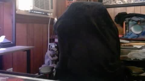 Nelson or ComicKing and sometime Peachy143 online show from March 8, 2026, 1:59 pm