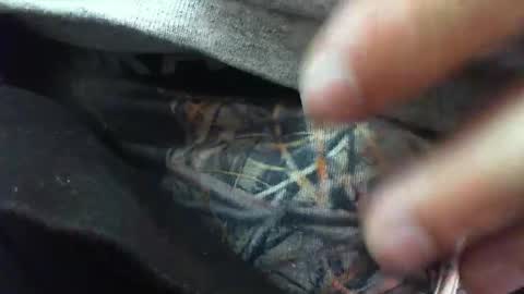 comox online show from March 6, 2025, 8:30 am