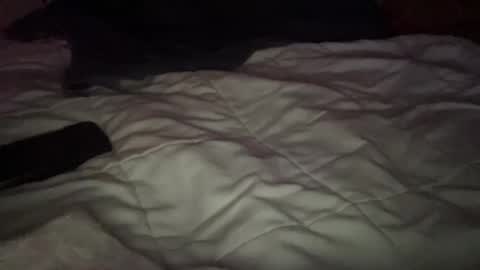 concretecarpenter online show from November 9, 2025, 8:12 am