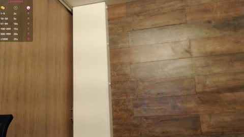 connor_h1 online show from January 17, 2025, 4:17 am