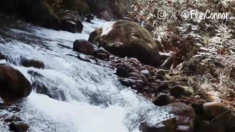 Connor Flyn online show from December 12, 2024, 8:47 am