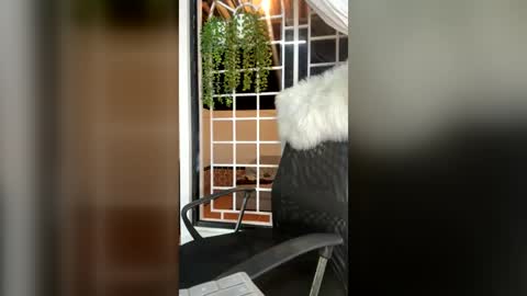Snapshot of conny_777 chatting on July 3, 2026, 7:48 am conny online show from July 3, 2026, 7:48 am