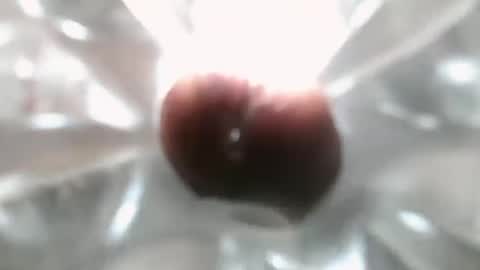 bearded hairy pits big brown cock online show from December 7, 2024, 10:17 pm