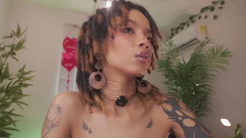 ROSELL 3   online show from February 13, 2026, 8:27 pm