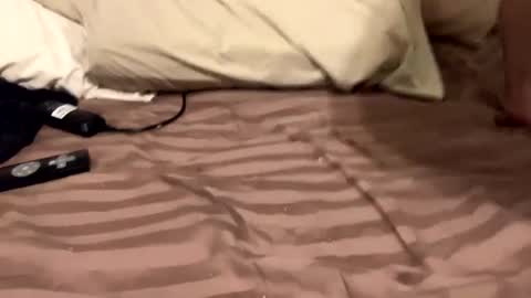 Snapshot of countrystudd chatting on December 11, 2024, 8:58 am Countrystudd online show from December 11, 2024, 8:58 am