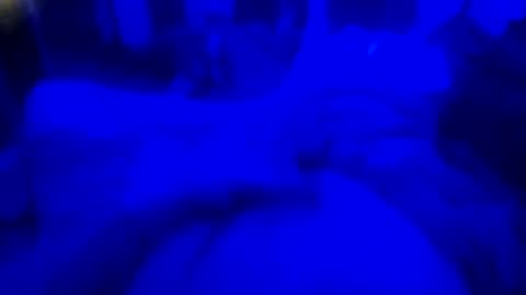 Snapshot of countrystudd chatting on December 23, 2025, 8:12 am Countrystudd online show from December 23, 2025, 8:12 am