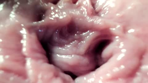 Im Courtney Nice to meet youFollow meInstagram courtneyluv778 online show from January 22, 2025, 8:06 pm