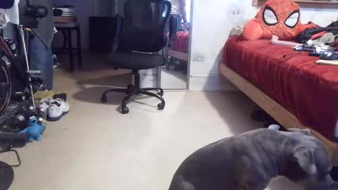 drbucknaked online show from April 16, 2026, 11:07 pm