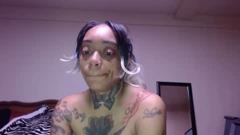 CreamyExotica online show from January 16, 2026, 11:58 am