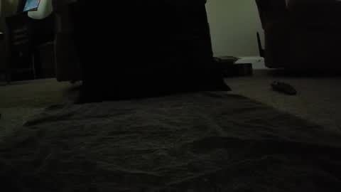 Snapshot of creature__cumfort chatting on June 10, 2026, 12:11 am creature__cumfort online show from June 10, 2026, 12:11 am