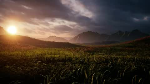 The hopeless romantic online show from October 11, 2025, 7:45 pm