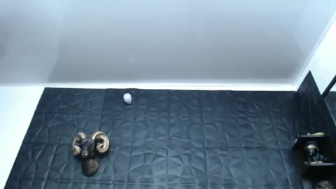 Snapshot of cristal_smith06 chatting on February 13, 2025, 4:54 am Hanna online show from February 13, 2025, 4:54 am