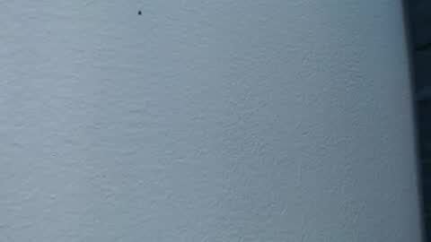 Snapshot of cristal_smith06 chatting on February 15, 2025, 6:02 am Hanna online show from February 15, 2025, 6:02 am