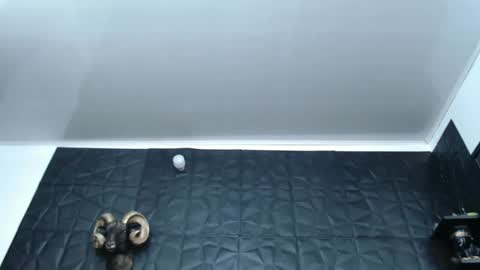 Snapshot of cristal_smith06 chatting on February 27, 2025, 5:56 am Hanna online show from February 27, 2025, 5:56 am