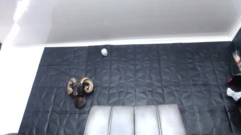 Snapshot of cristal_smith06 chatting on March 15, 2026, 2:01 pm Hanna online show from March 15, 2026, 2:01 pm