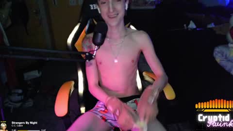 CryptidTwink online show from December 4, 2024, 6:22 am