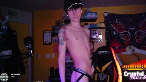 CryptidTwink online show from February 19, 2026, 6:53 am