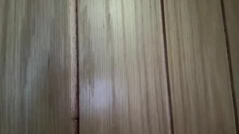 cum_nicky online show from April 23, 2026, 10:25 am