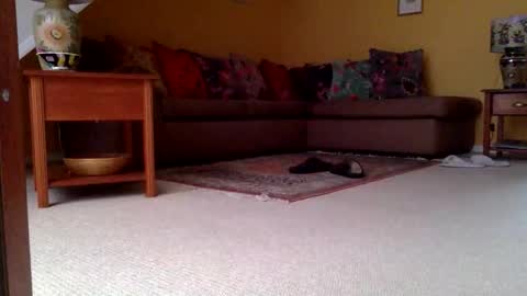 cumonherguys online show from November 6, 2025, 8:04 am